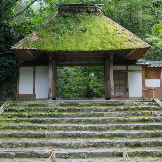 2024/09 Japan photo 20